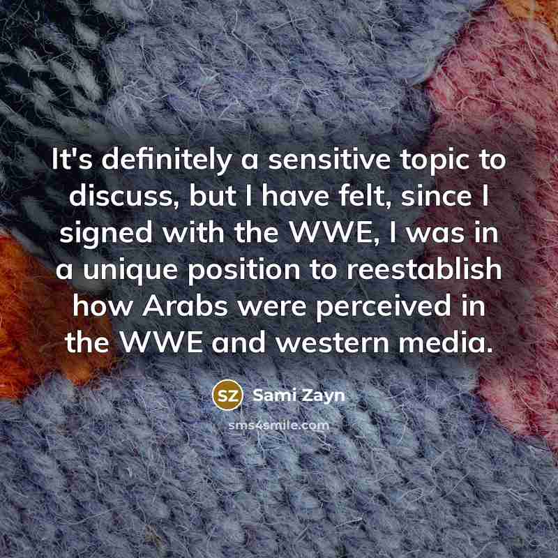 “It's definitely a sensitive topic to discuss, but I have…” quote by Sami Zayn