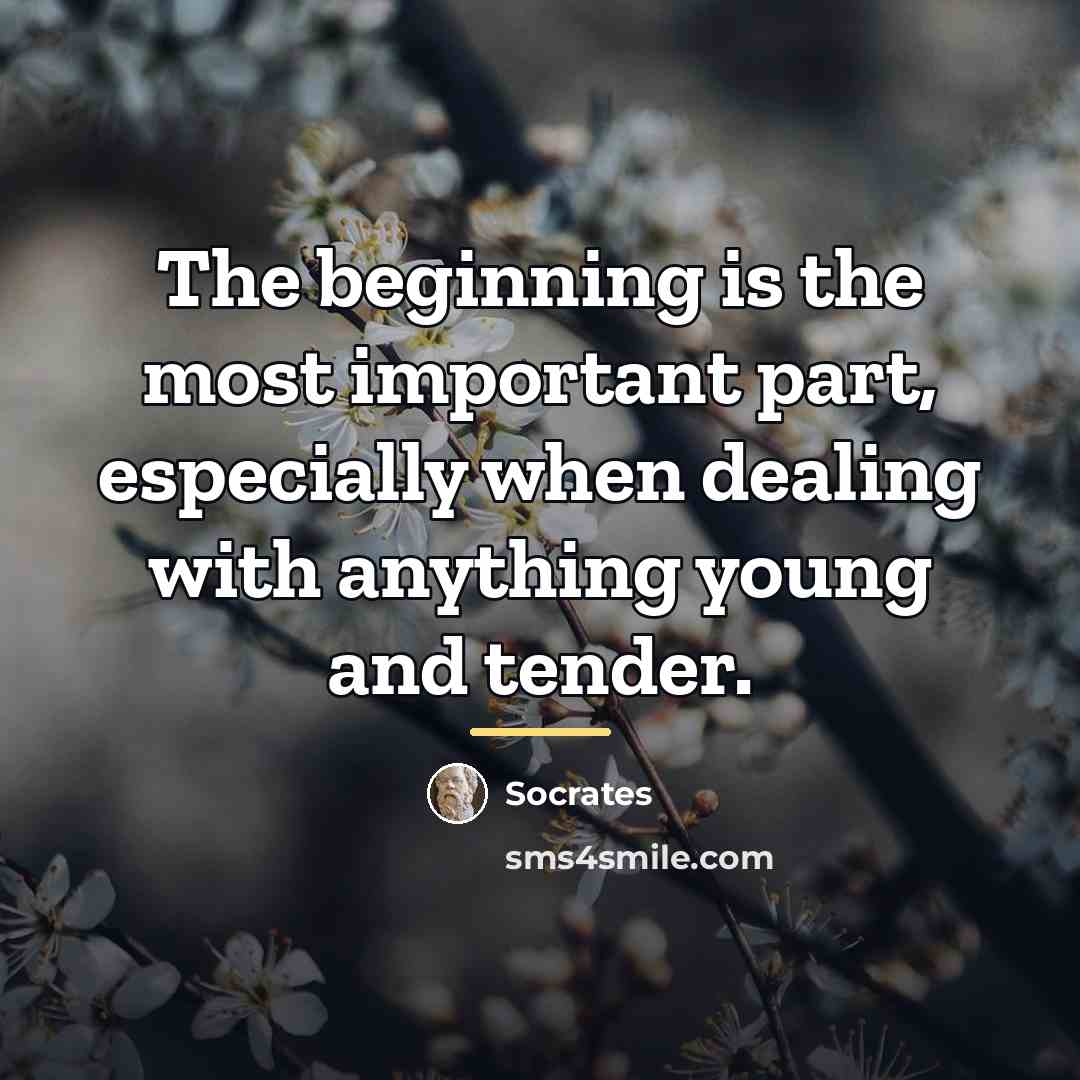 “The beginning is the most important part, especially when dealing…” quote by Socrates