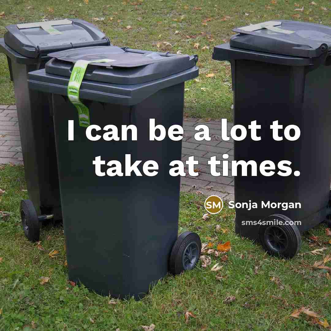 “I can be a lot to take at times.…” quote by Sonja Morgan