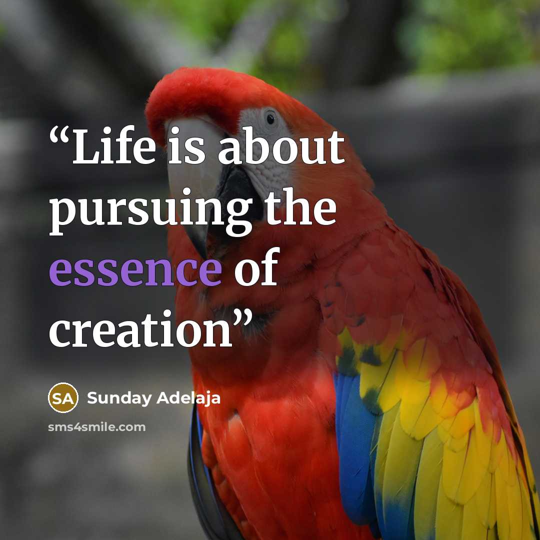 “Life is about pursuing the essence of creation” quote by Sunday Adelaja