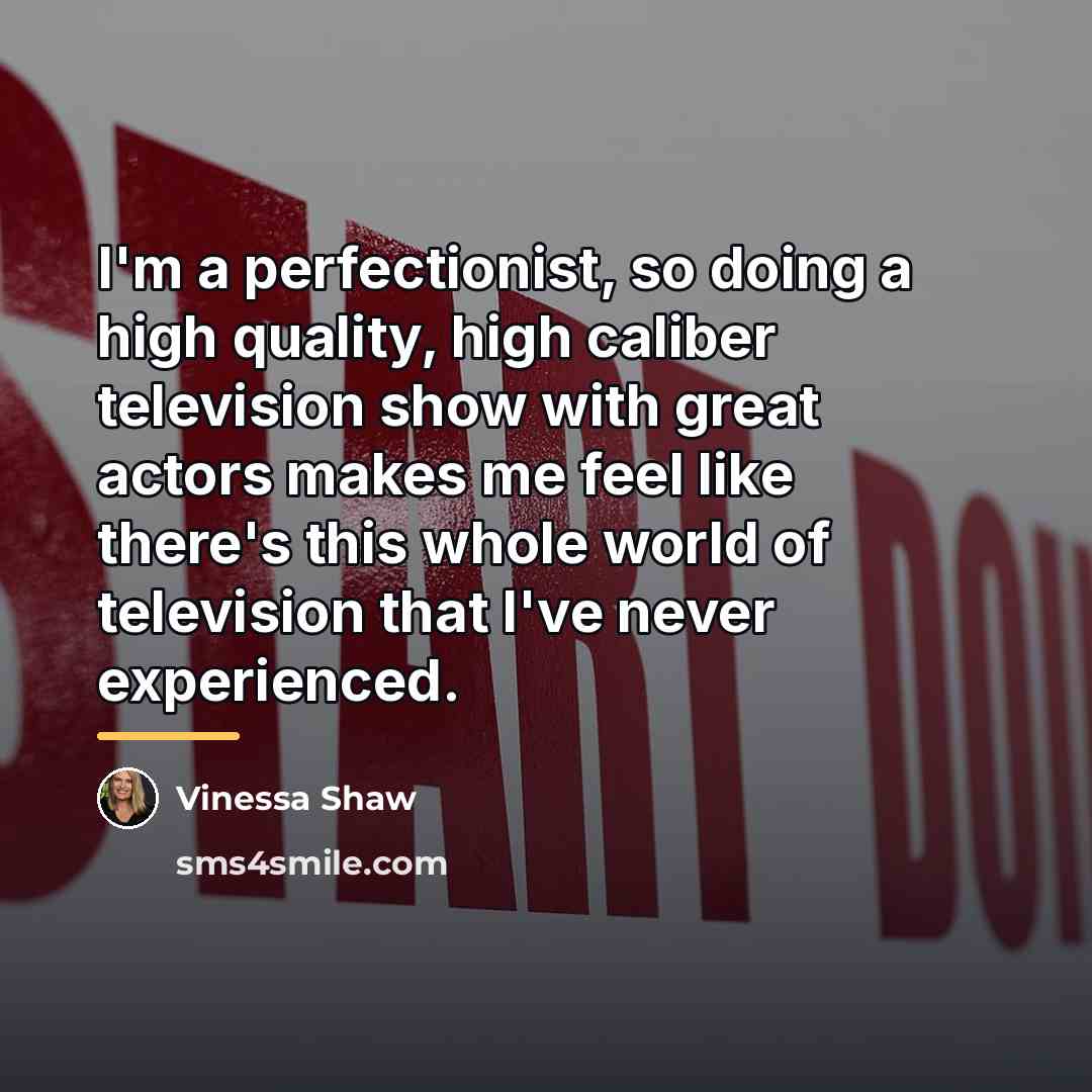 “I'm a perfectionist, so doing a high quality, high caliber…” quote by Vinessa Shaw