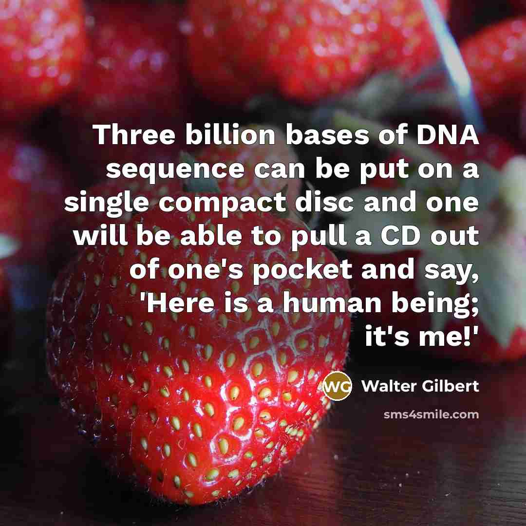 “Three billion bases of DNA sequence can be put on a single compact disc and one will be able to pull a CD out of one's pocket and say, 'Here is a human being; it's me!'” quote by Walter Gilbert