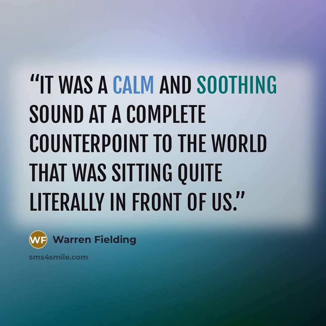 “It was a calm and soothing sound at a complete counterpoint to the world that was sitting quite literally in front of us.” quote by Warren Fielding