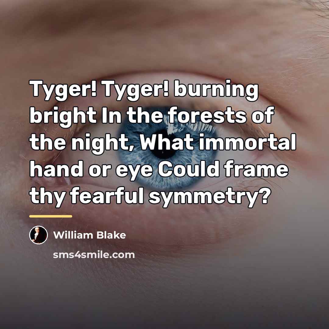 “Tyger! Tyger! burning bright In the forests of the night,…” quote by William Blake