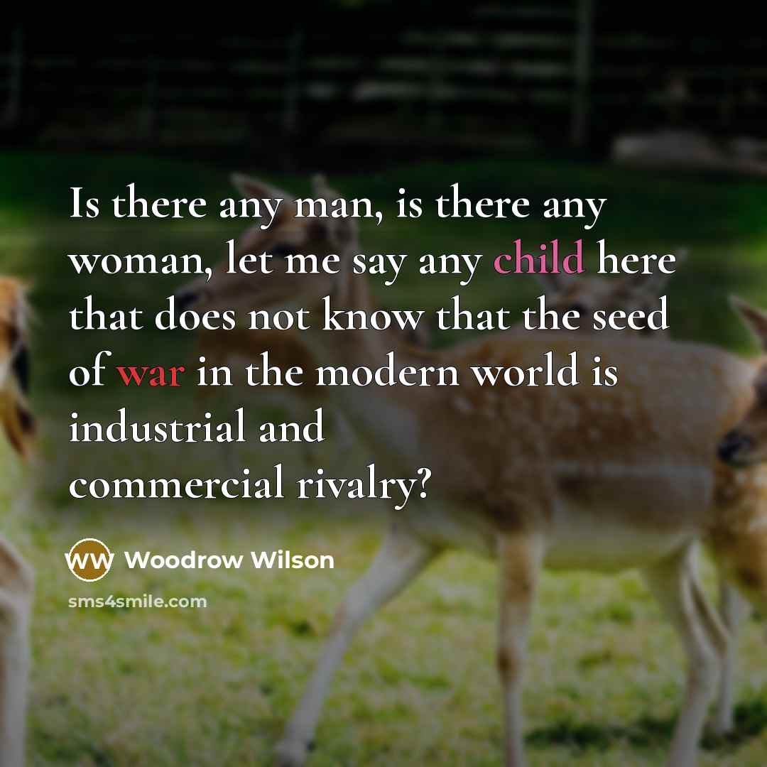 “Is there any man, is there any woman, let me…” quote by Woodrow Wilson