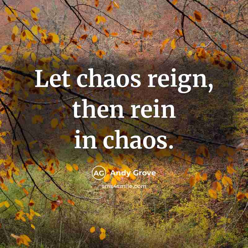 “Let chaos reign, then rein in chaos.…” quote by Andy Grove