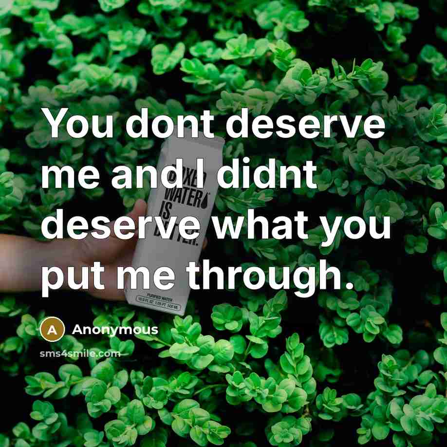 “You dont deserve me and I didnt deserve what you put me through.” quote by Anonymous