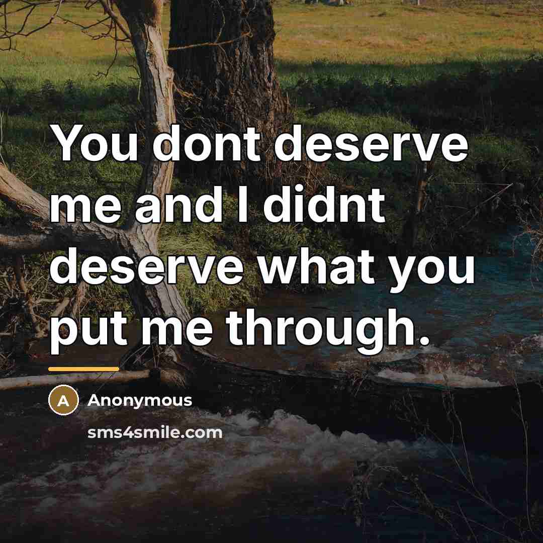 “You dont deserve me and I didnt deserve what you…” quote by Anonymous