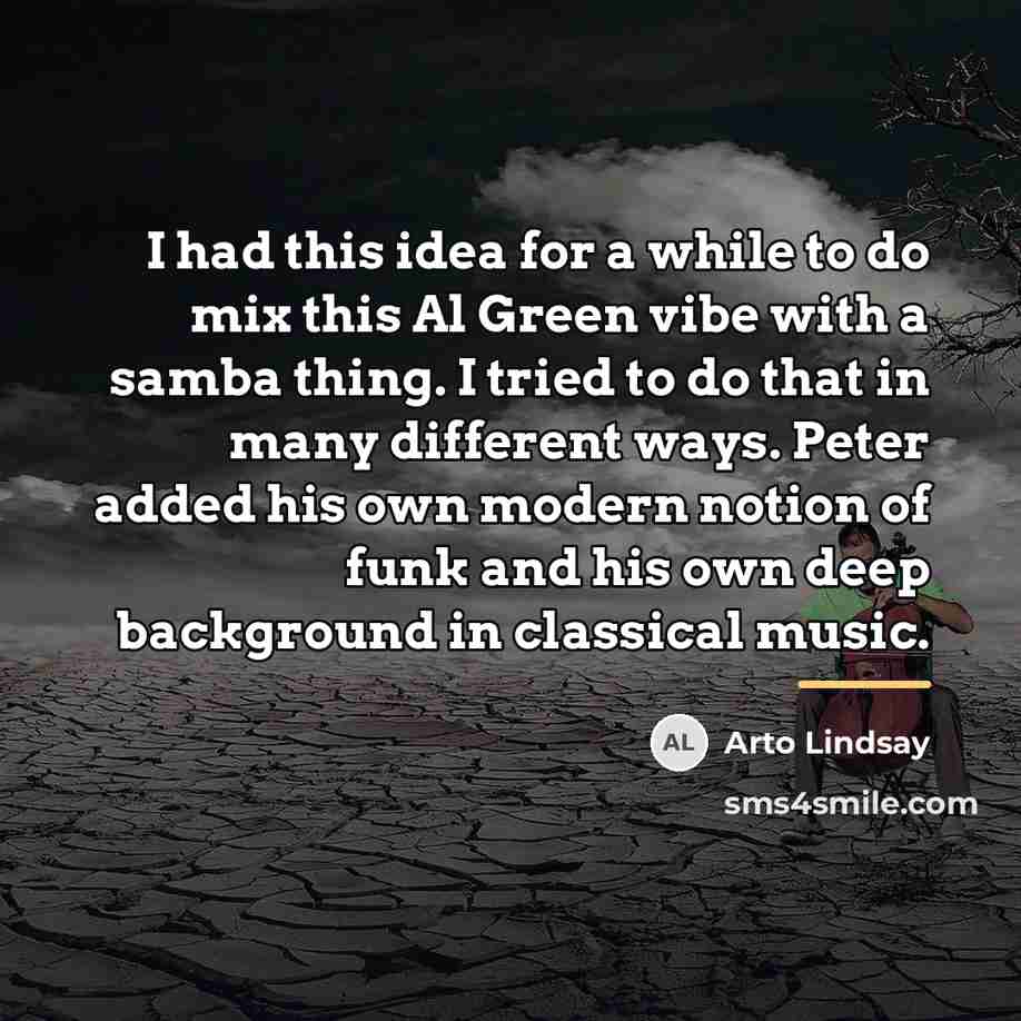 “I had this idea for a while to do mix…” quote by Arto Lindsay