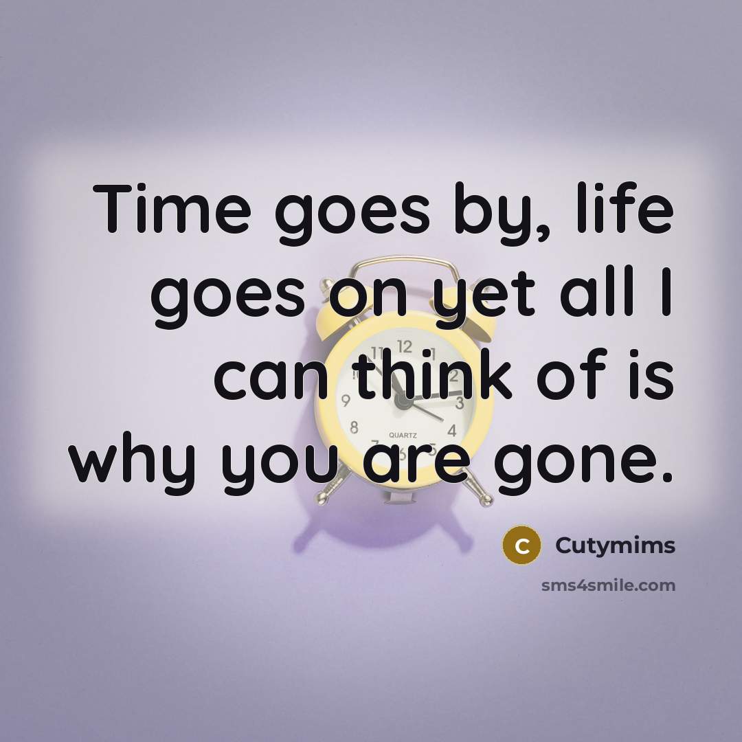 “Time goes by, life goes on yet all I can think of is why you are gone.” quote by Cutymims