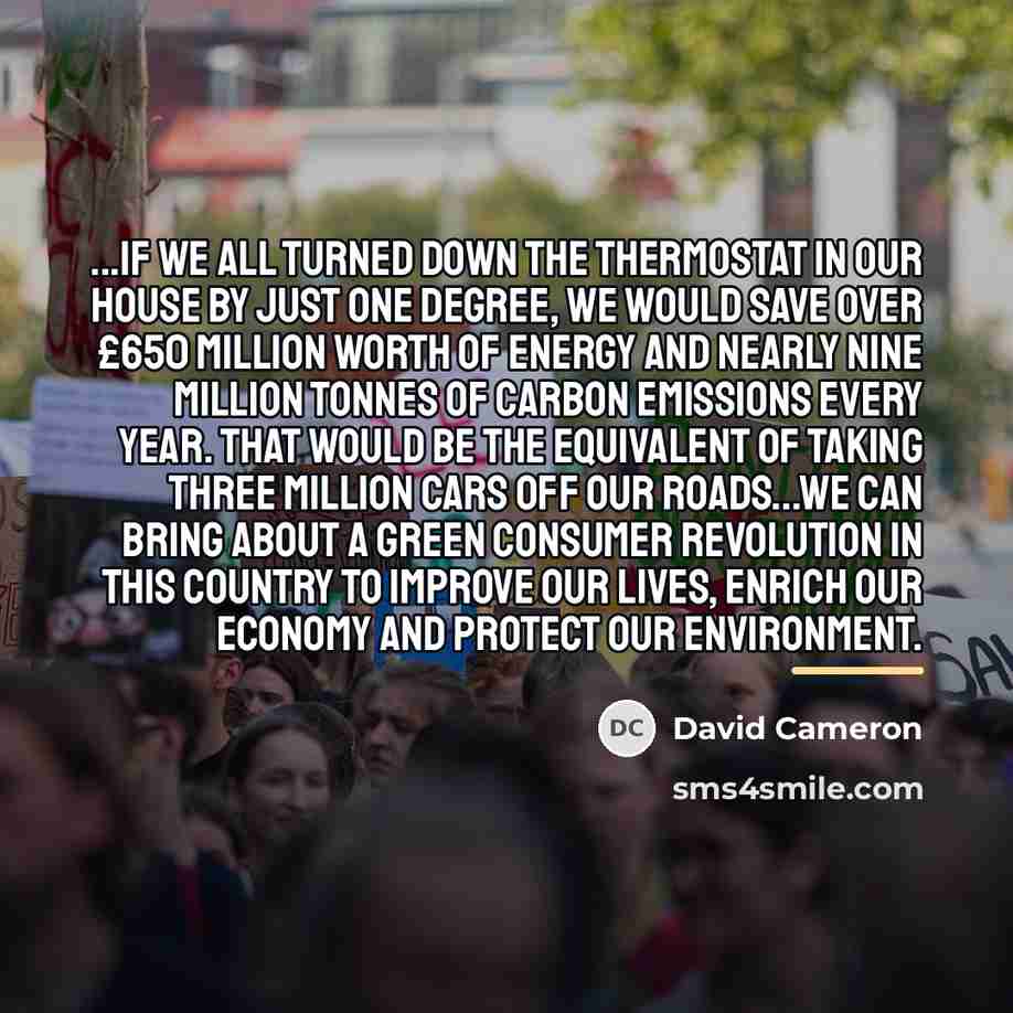 “...if we all turned down the thermostat in our house…” quote by David Cameron