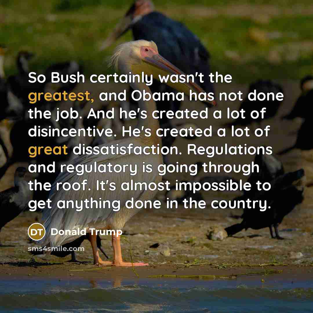 “So Bush certainly wasn't the greatest, and Obama has not done the job. And he's created a lot of disincentive. He's created a lot of great dissatisfaction. Regulations and regulatory is going through the roof. It's almost impossible to get anything done in the country.” quote by Donald Trump