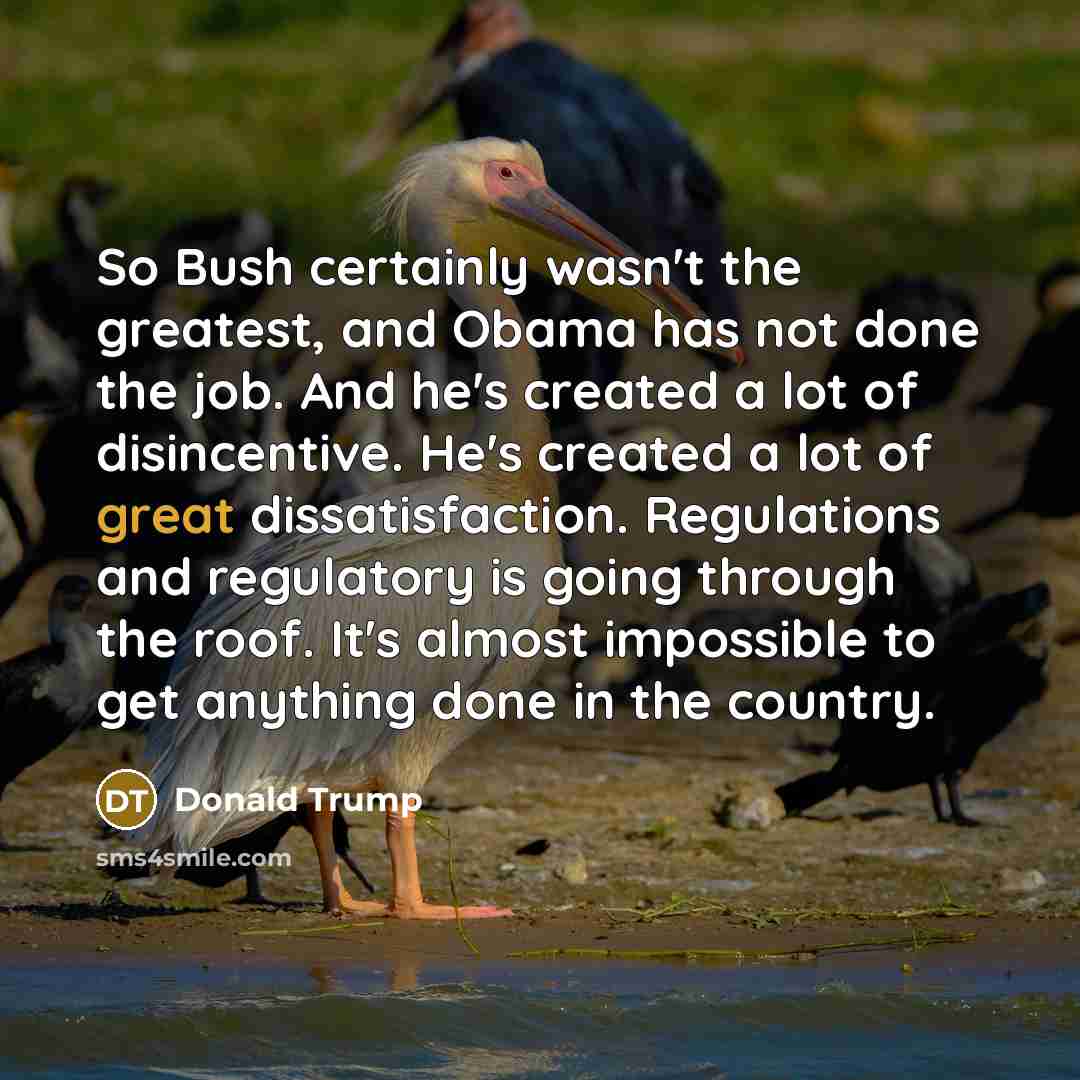 “So Bush certainly wasn't the greatest, and Obama has not…” quote by Donald Trump