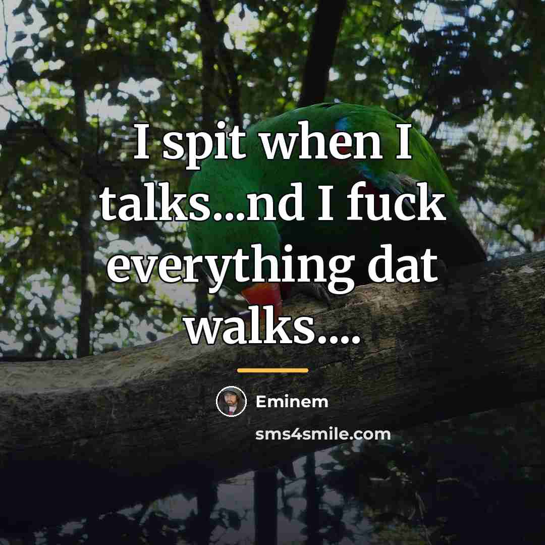 “I spit when I talks...nd I fuck everything dat walks....…” quote by Eminem