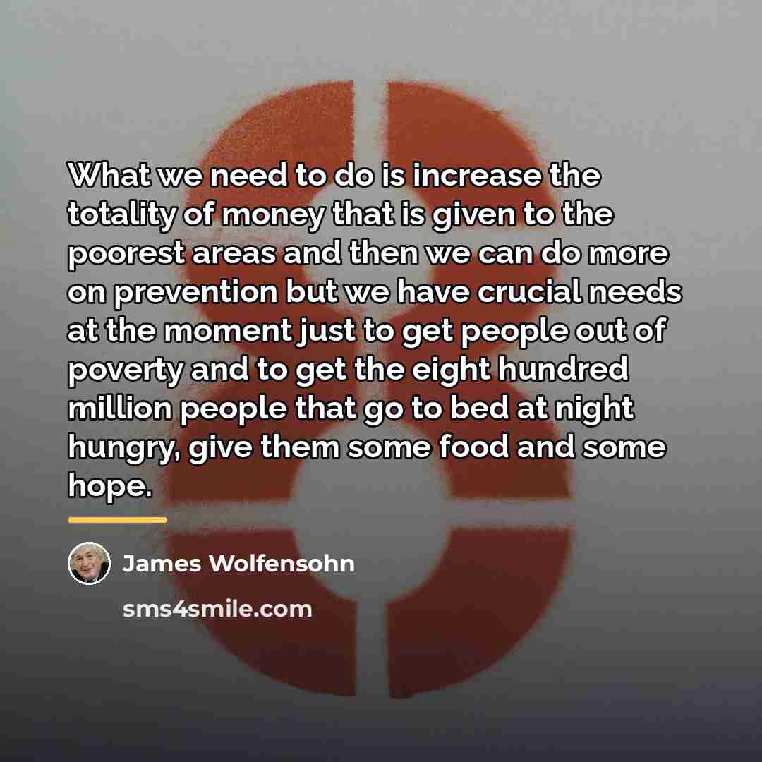 “What we need to do is increase the totality of…” quote by James Wolfensohn