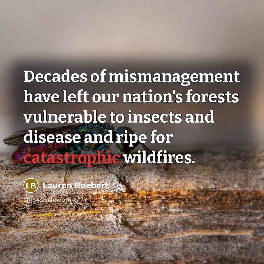 “Decades of mismanagement have left our nation's forests vulnerable to…” quote by Lauren Boebert