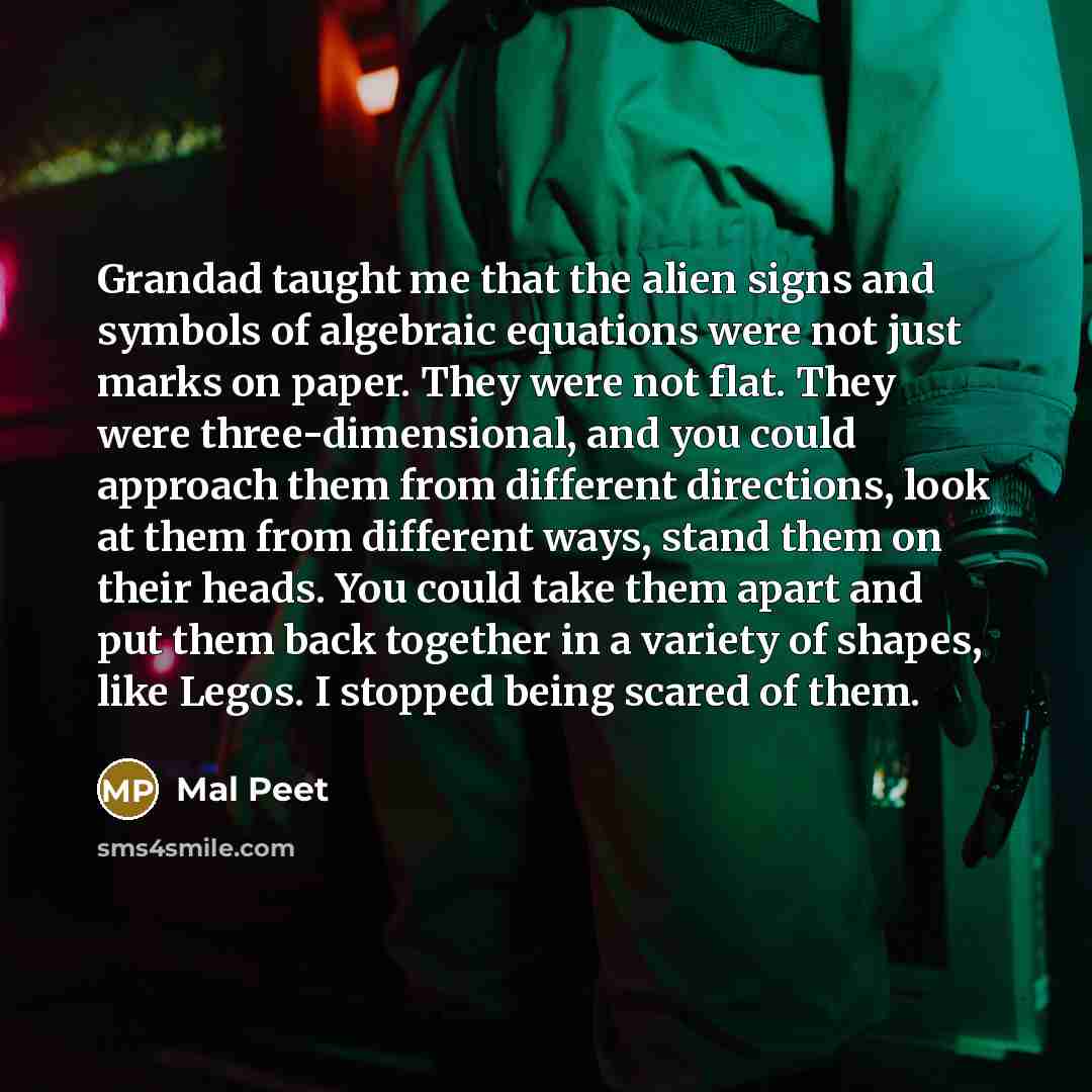 “Grandad taught me that the alien signs and symbols of…” quote by Mal Peet