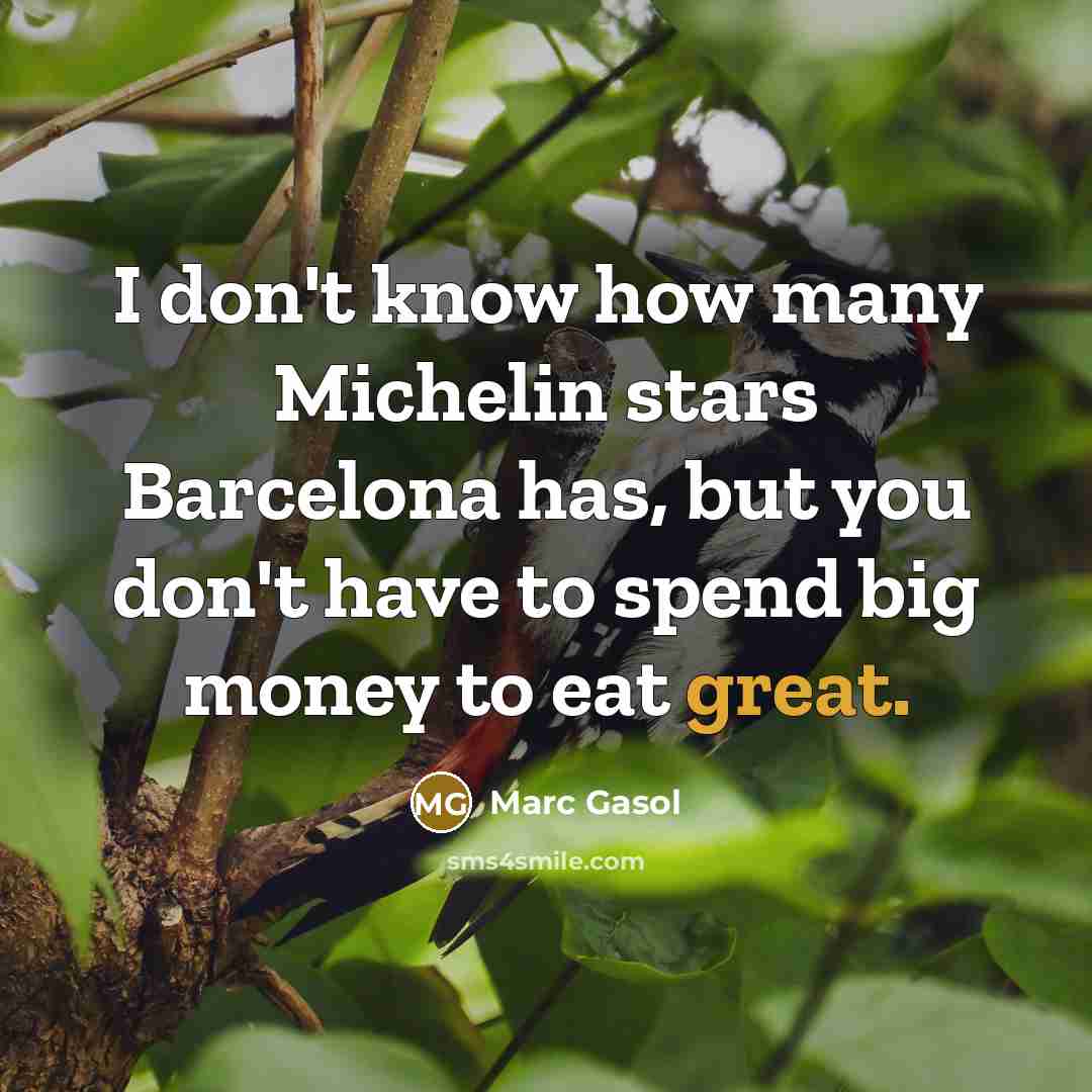 “I don't know how many Michelin stars Barcelona has, but…” quote by Marc Gasol