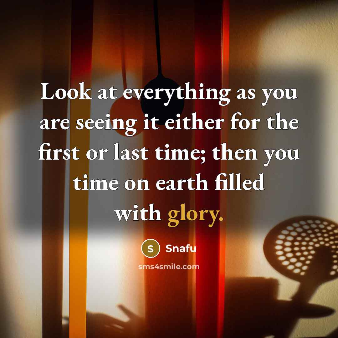 “Look at everything as you are seeing it either for…” quote by Snafu