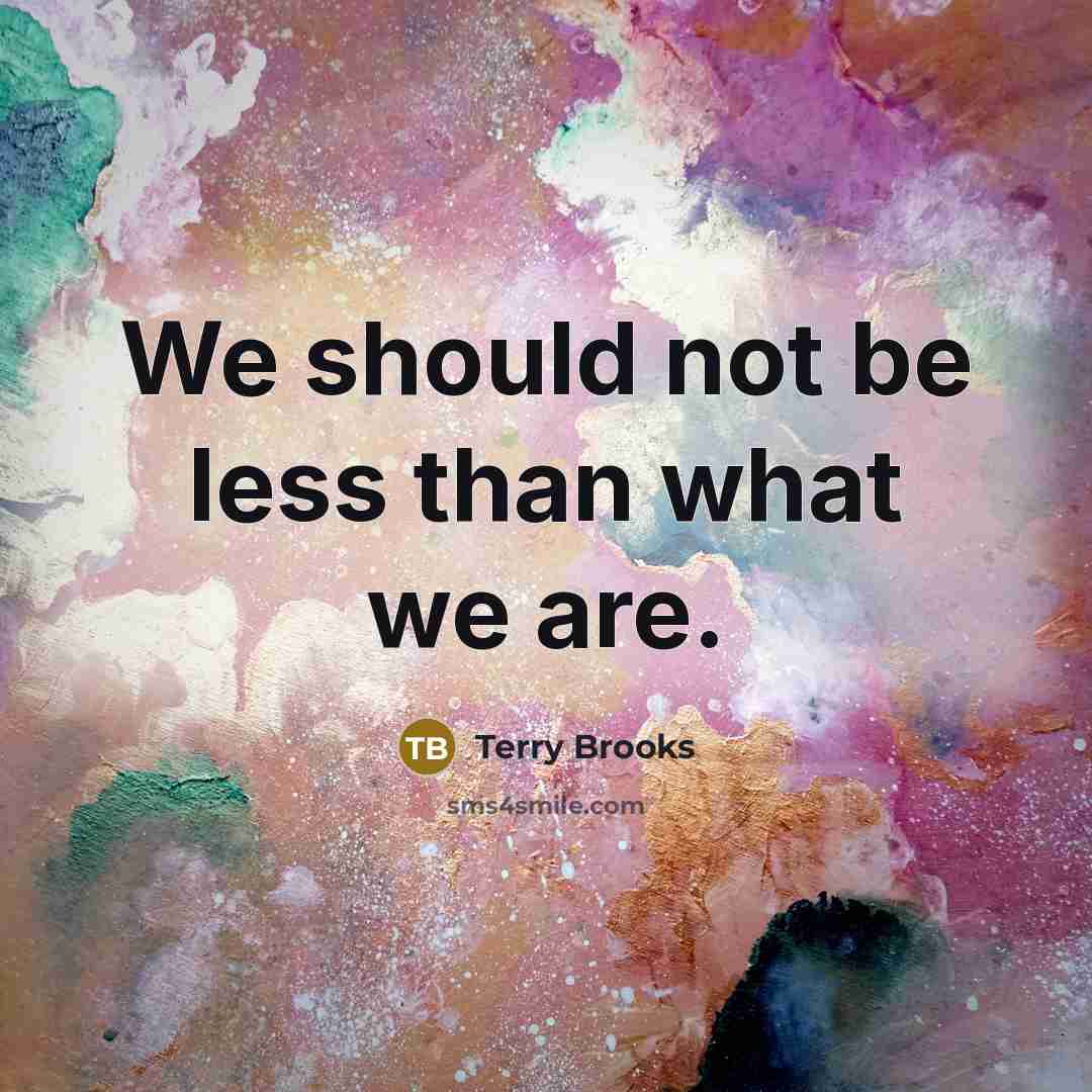 “We should not be less than what we are.…” quote by Terry Brooks