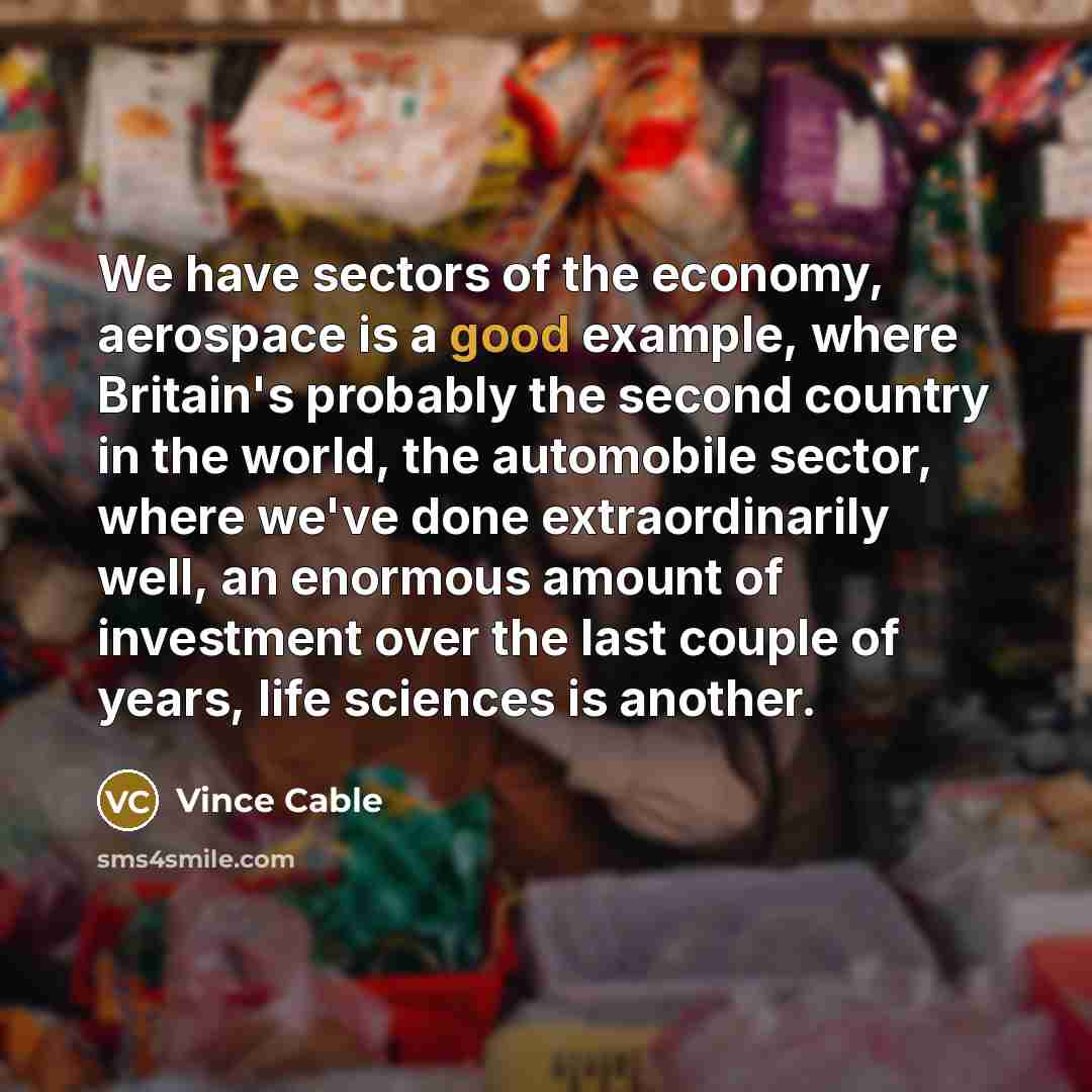 “We have sectors of the economy, aerospace is a good…” quote by Vince Cable