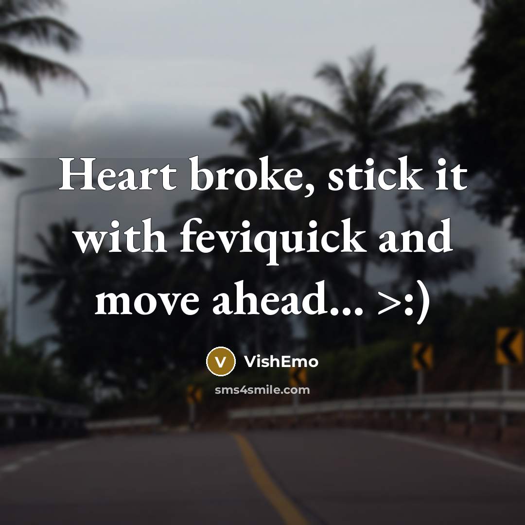 “Heart broke, stick it with feviquick and move ahead… >:)” quote by VishEmo