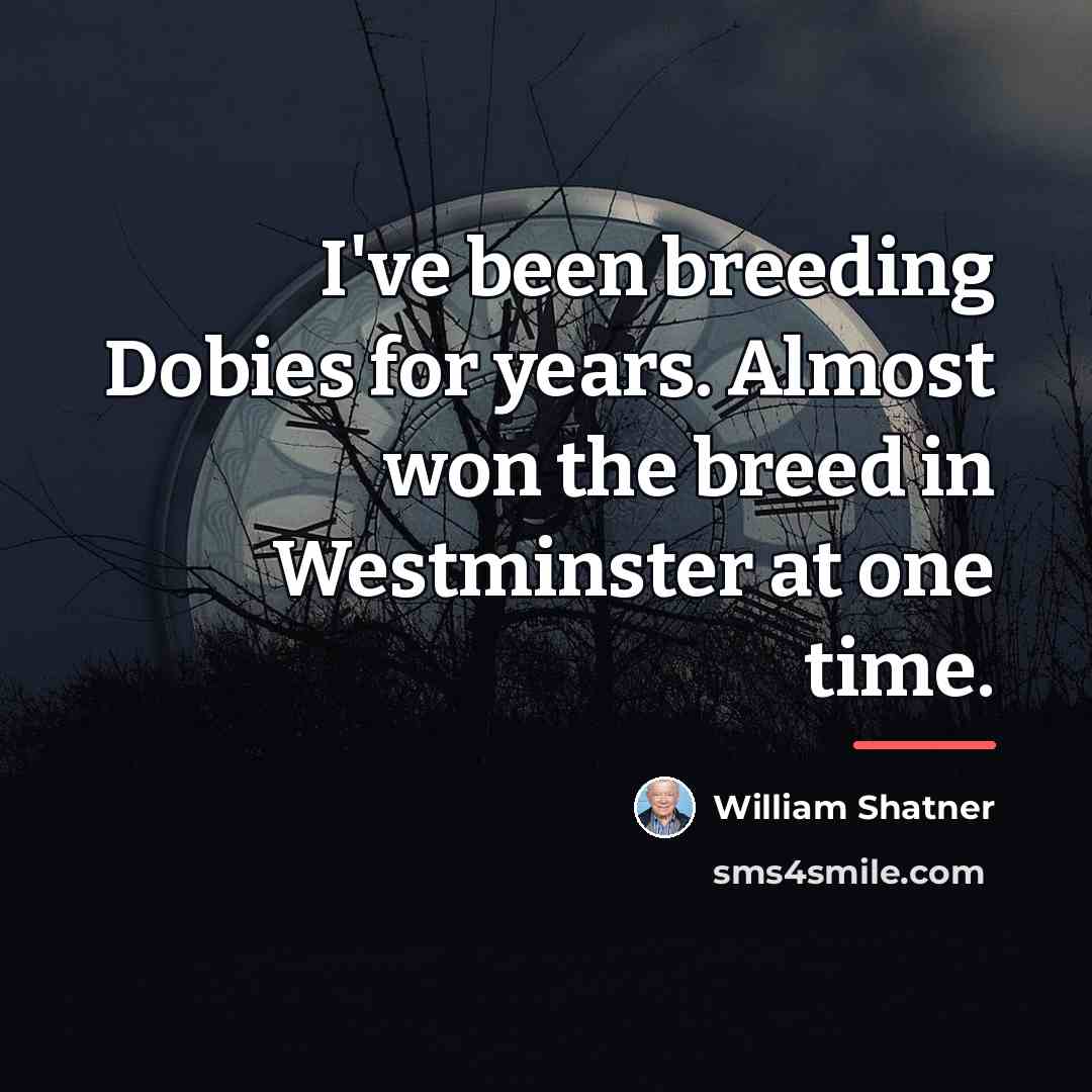 “I've been breeding Dobies for years. Almost won the breed…” quote by William Shatner
