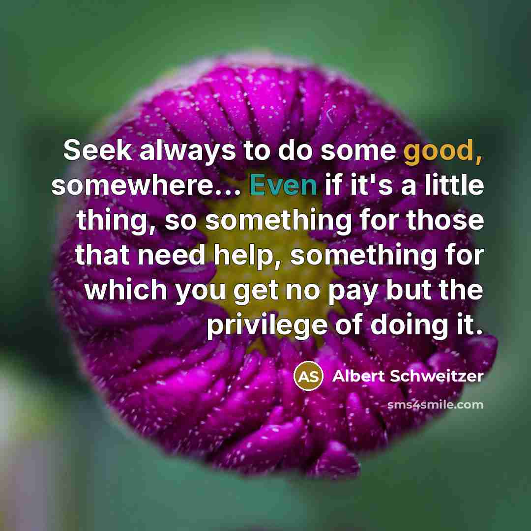 “Seek always to do some good, somewhere... Even if it's a little thing, so something for those that need help, something for which you get no pay but the privilege of doing it.” quote by Albert Schweitzer