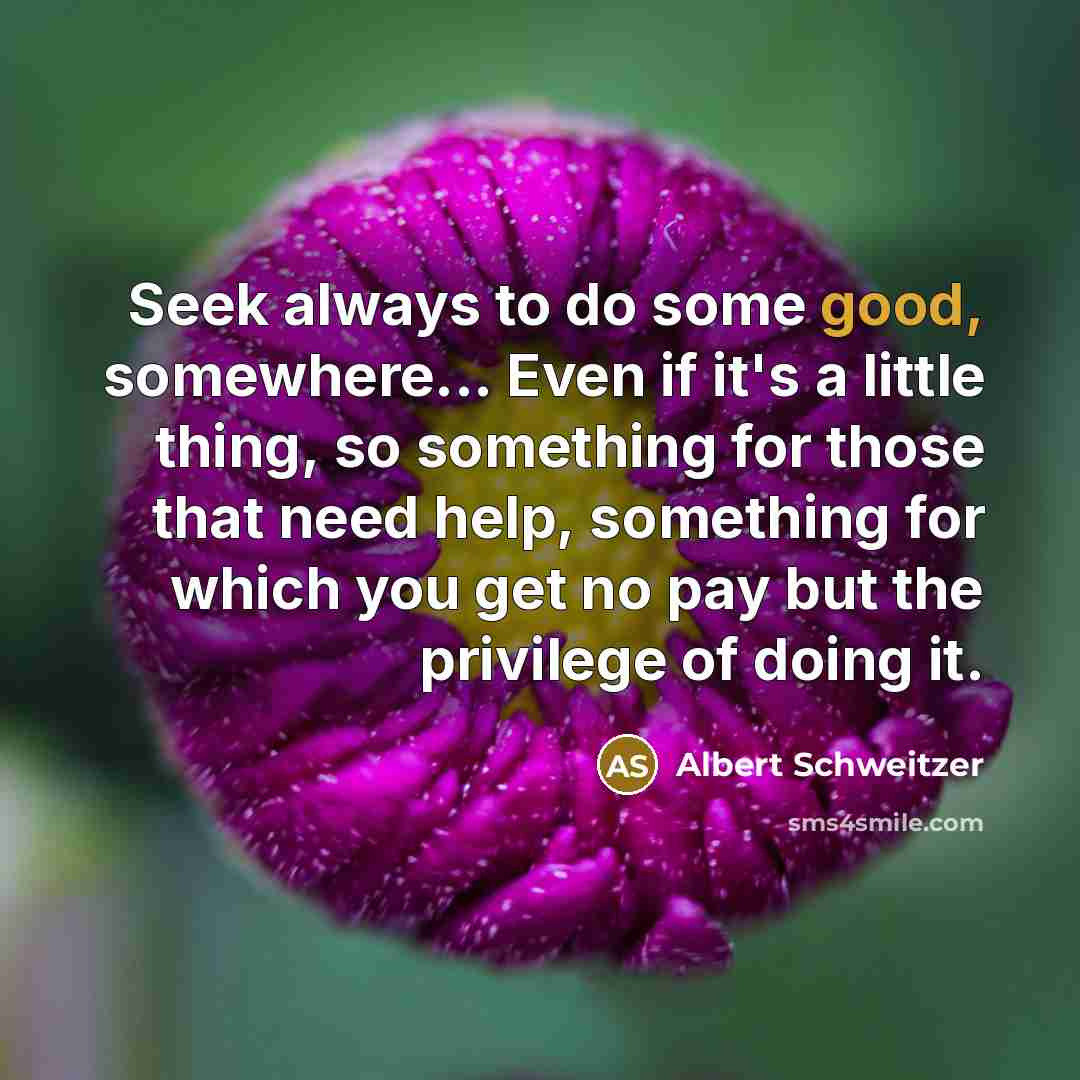 “Seek always to do some good, somewhere... Even if it's…” quote by Albert Schweitzer