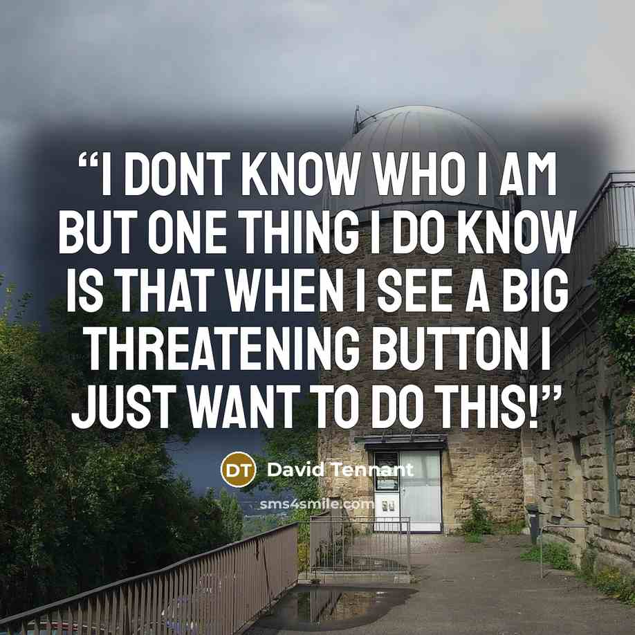 “I dont know who I am but one thing I do know is that when I see a BIG THREATENING BUTTON I just want to do this!” quote by David Tennant