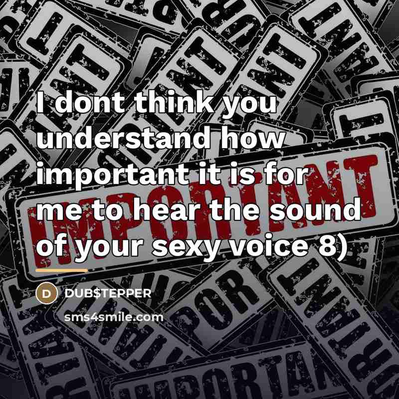 “I dont think you understand how important it is for…” quote by DUB$TEPPER