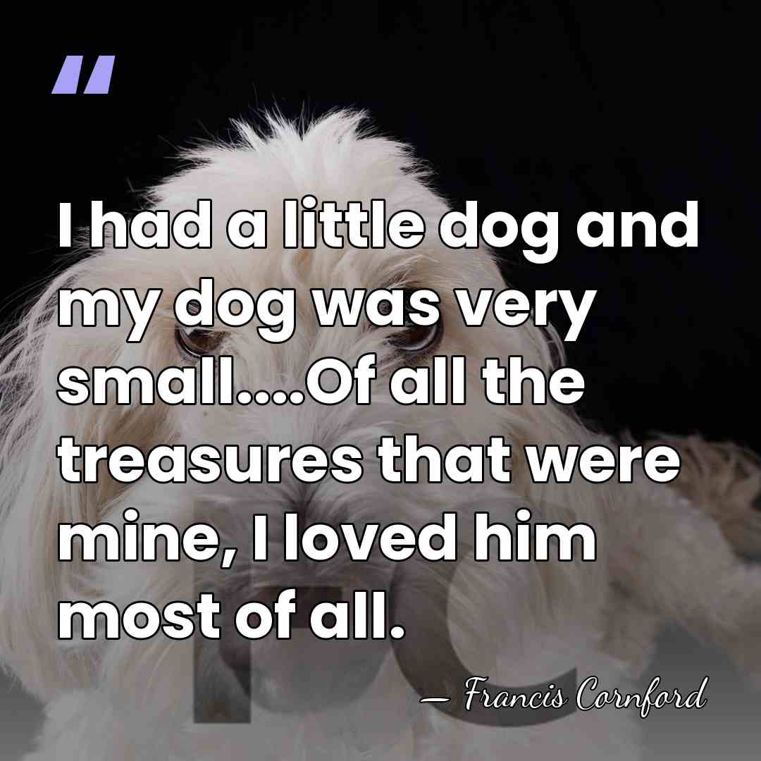 I had a little dog and my dog was very small....Of all&hellip; - Francis Cornford