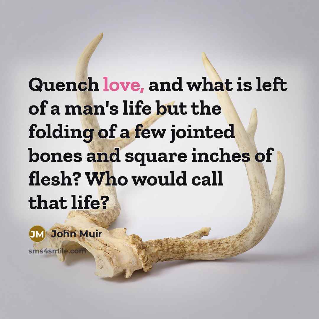 “Quench love, and what is left of a man's life…” quote by John Muir