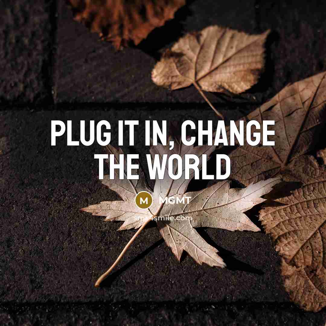 “Plug it in, change the world…” quote by MGMT