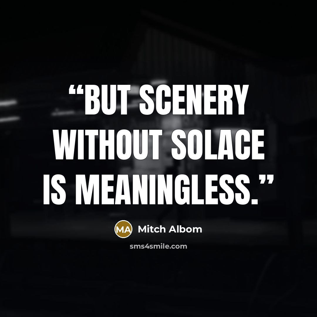 “But scenery without solace is meaningless.” quote by Mitch Albom