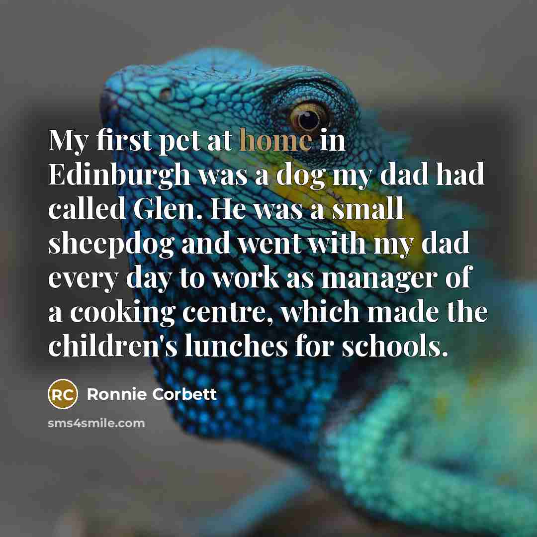 “My first pet at home in Edinburgh was a dog my dad had called Glen. He was a small sheepdog and went with my dad every day to work as manager of a cooking centre, which made the children's lunches for schools.” quote by Ronnie Corbett