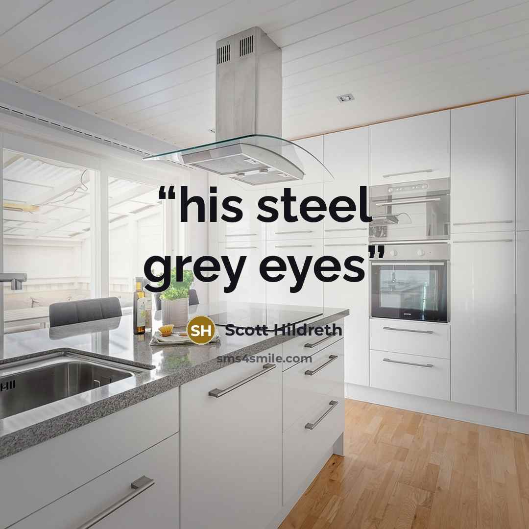 “his steel grey eyes” quote by Scott Hildreth