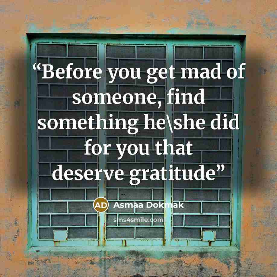 “Before you get mad of someone, find something he\she did for you that deserve gratitude” quote by Asmaa Dokmak