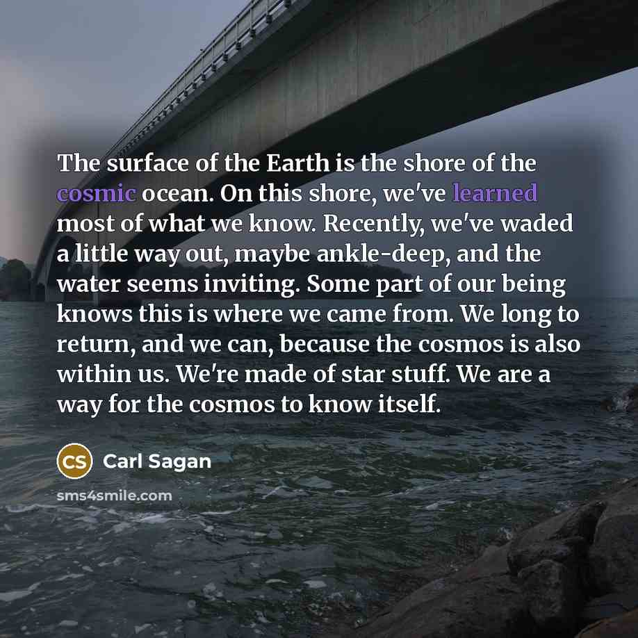“The surface of the Earth is the shore of the…” quote by Carl Sagan