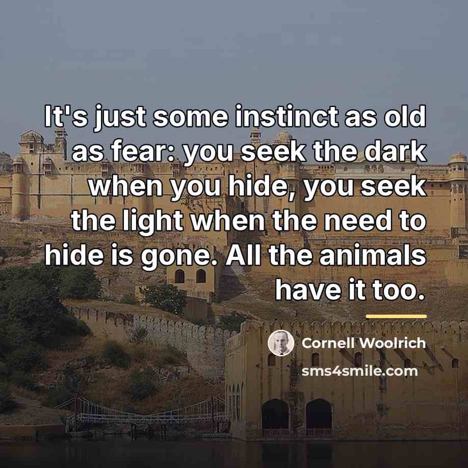 “It's just some instinct as old as fear: you seek…” quote by Cornell Woolrich