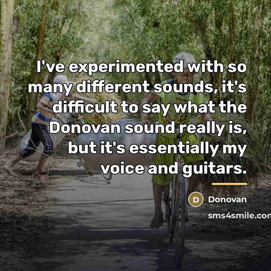 “I've experimented with so many different sounds, it's difficult to…” quote by Donovan
