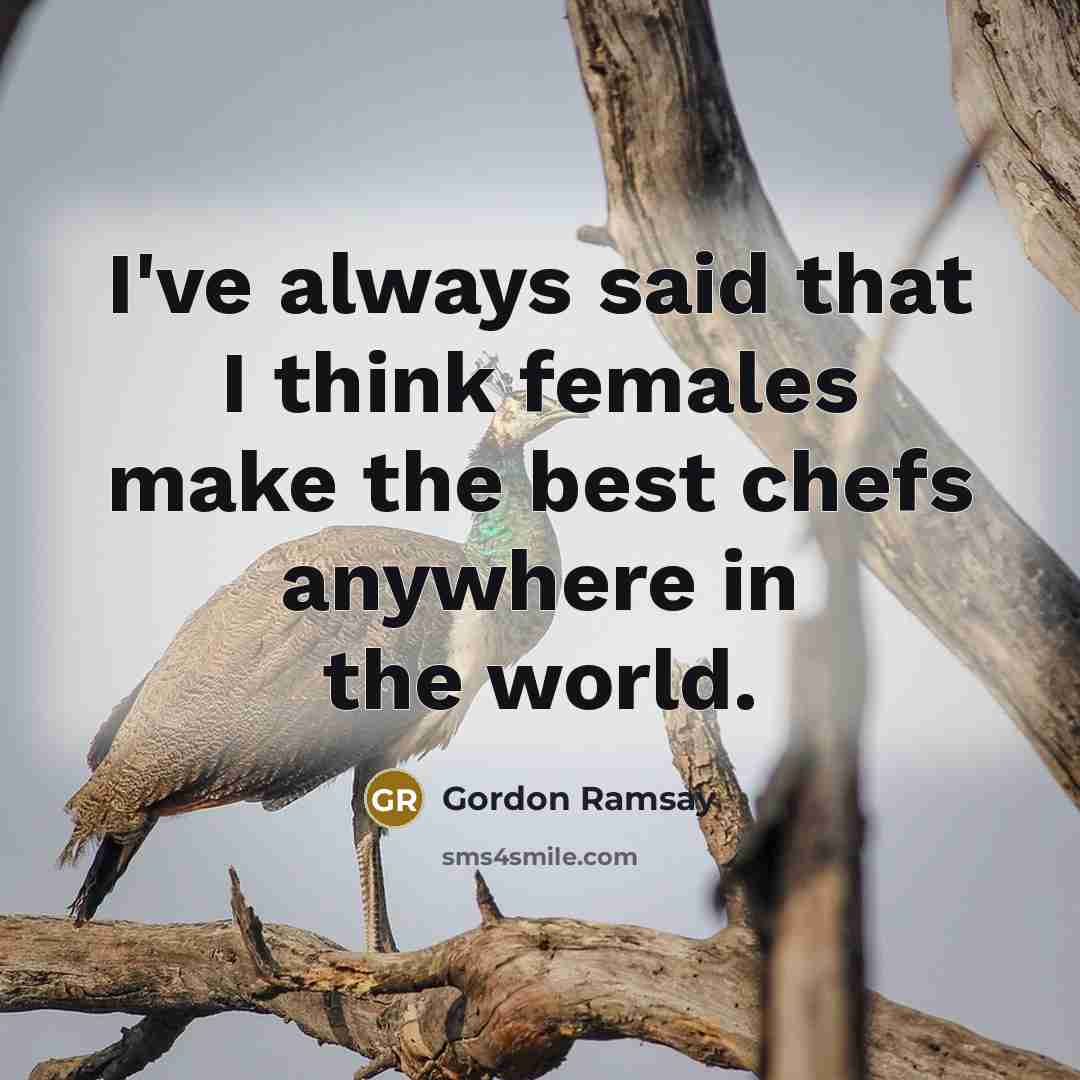 “I've always said that I think females make the best…” quote by Gordon Ramsay