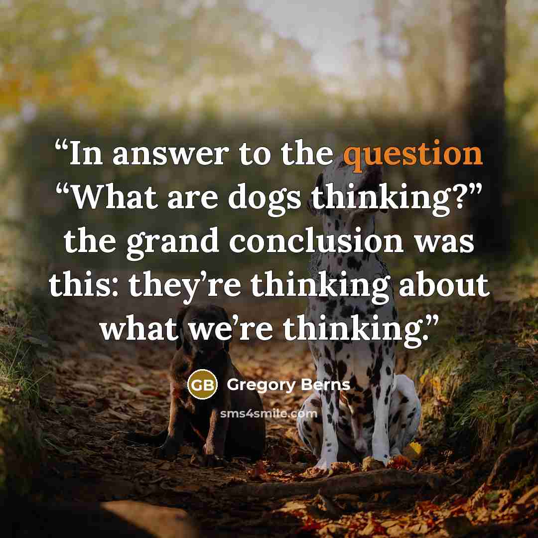 “In answer to the question “What are dogs thinking?” the grand conclusion was this: they’re thinking about what we’re thinking.” quote by Gregory Berns