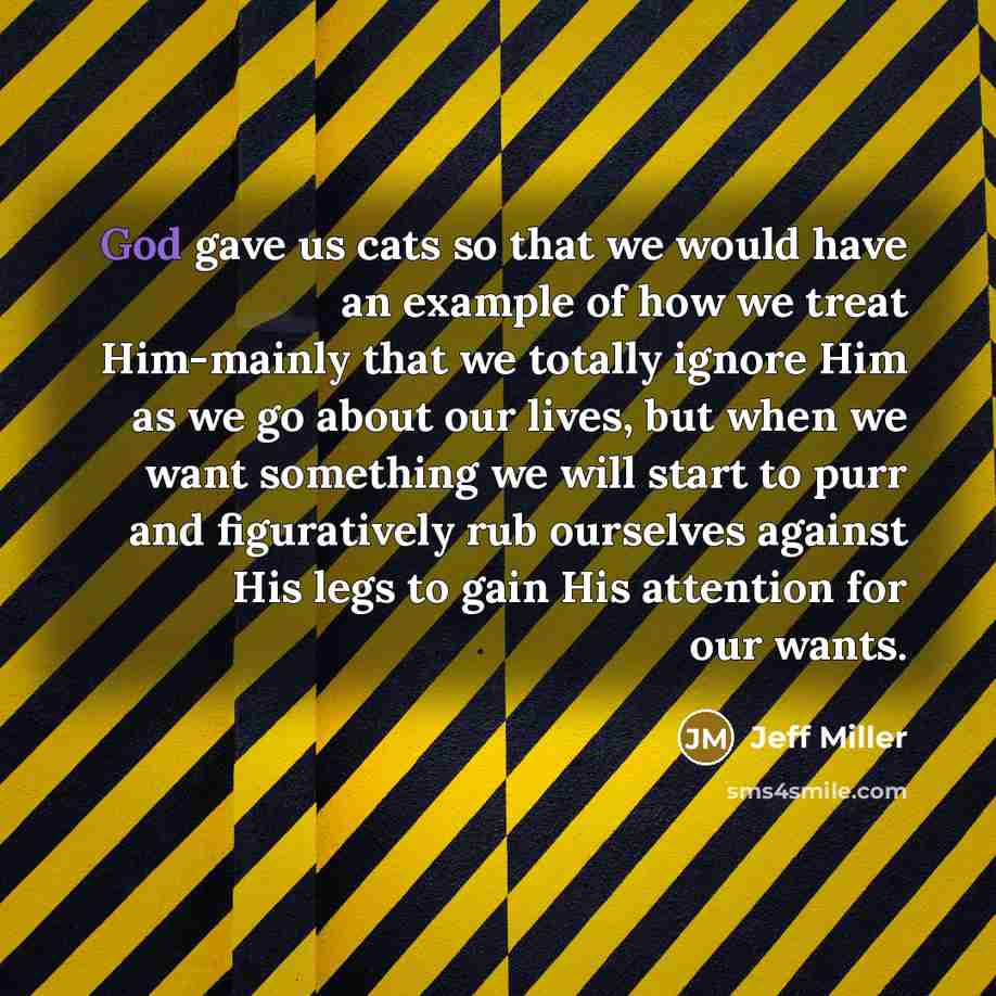 “God gave us cats so that we would have an…” quote by Jeff Miller