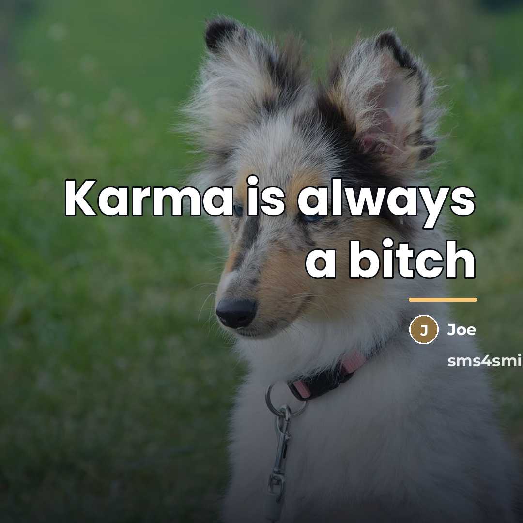 “Karma is always a bitch…” quote by Joe