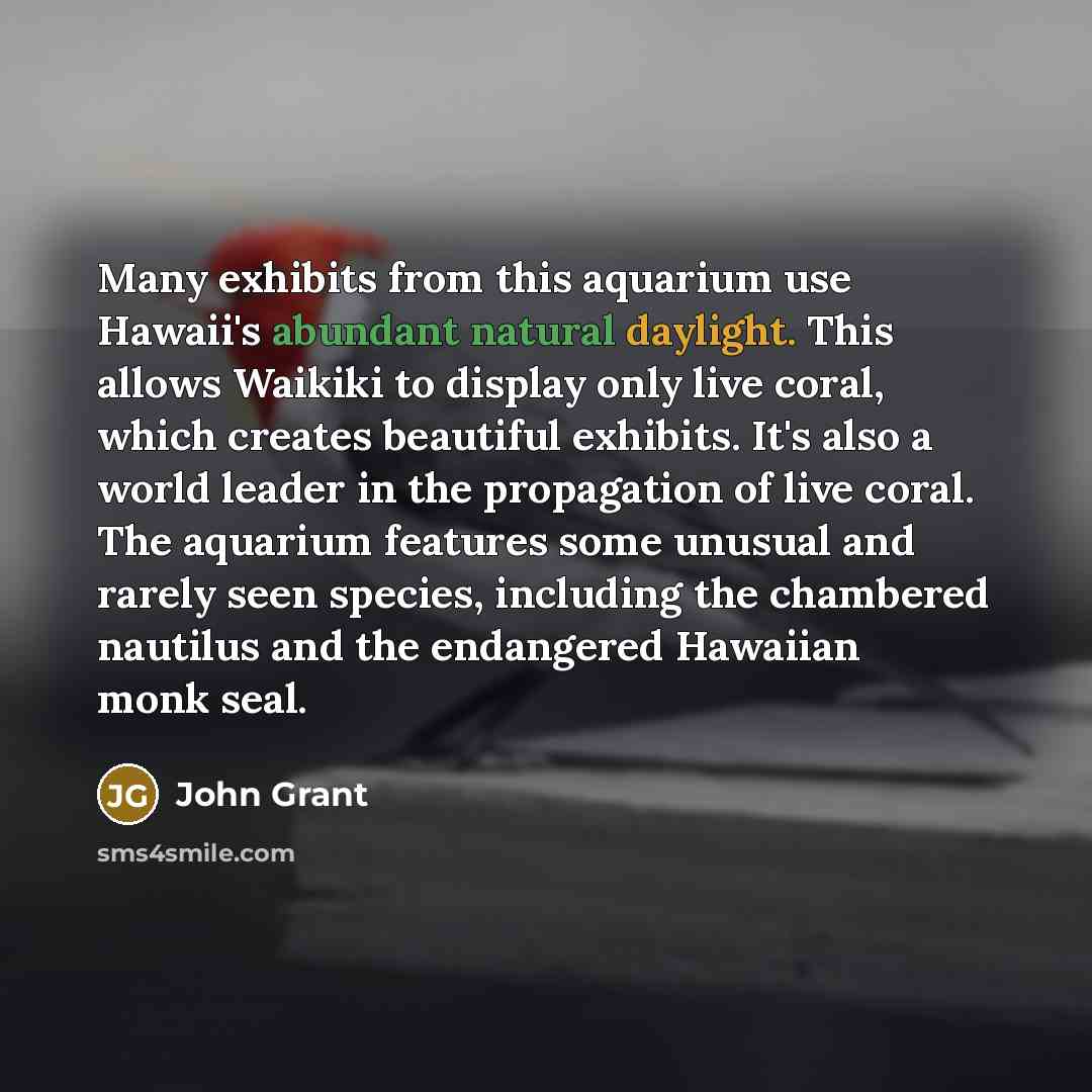“Many exhibits from this aquarium use Hawaii's abundant natural daylight. This allows Waikiki to display only live coral, which creates beautiful exhibits. It's also a world leader in the propagation of live coral. The aquarium features some unusual and rarely seen species, including the chambered…” quote by John Grant