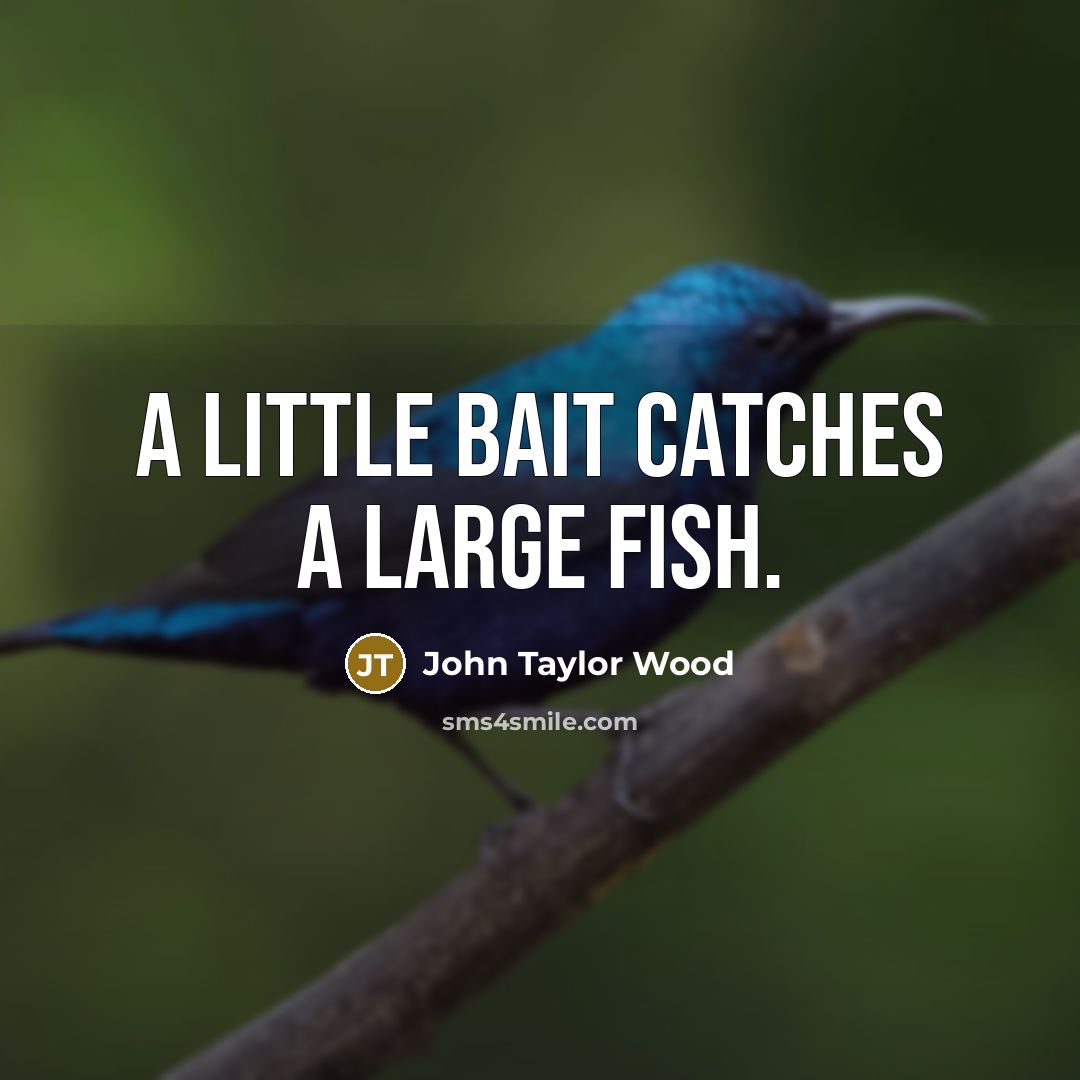 “A little bait catches a large fish.…” quote by John Taylor Wood