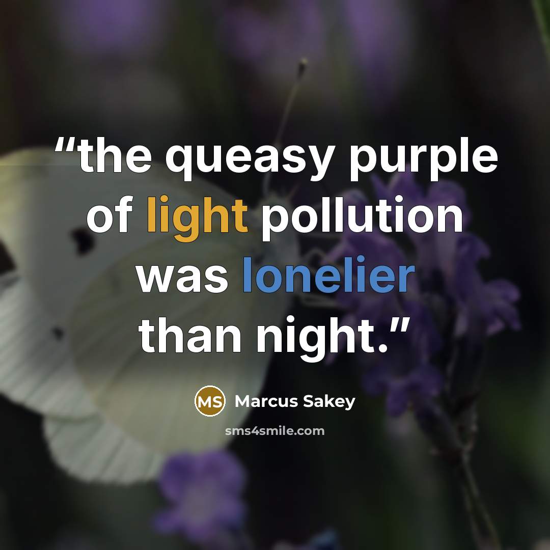 “the queasy purple of light pollution was lonelier than night.” quote by Marcus Sakey