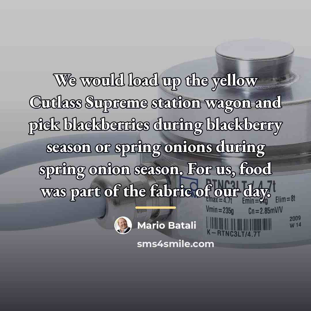 “We would load up the yellow Cutlass Supreme station wagon…” quote by Mario Batali