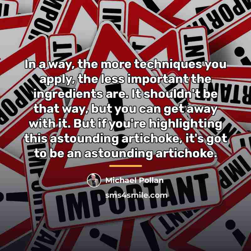 “In a way, the more techniques you apply, the less…” quote by Michael Pollan